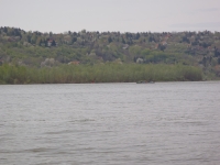 Donau bei Novi Slankamen 2012 Donau bei Novi Slankamen 2012